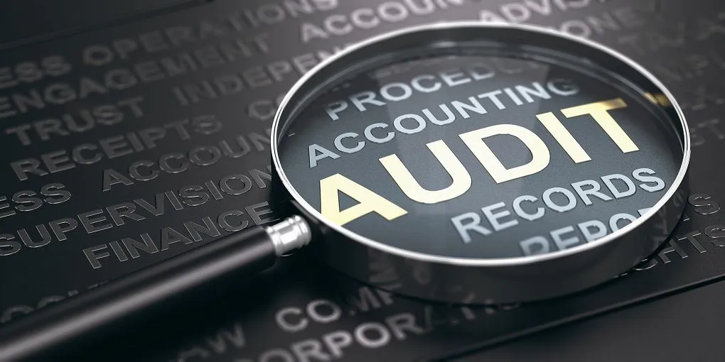 Audit Coordination Services in Dubai UAE - FinFly